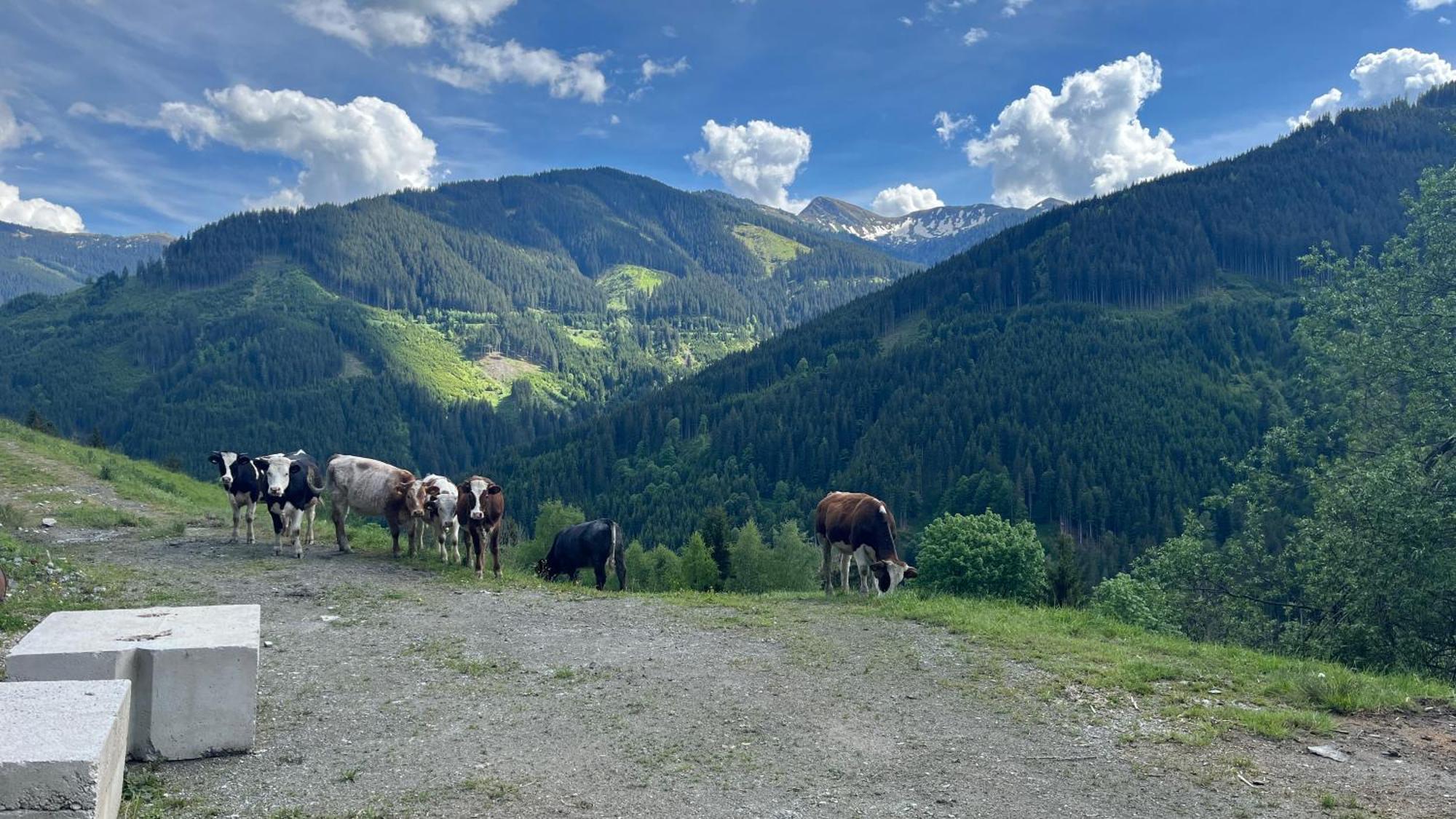Landhaus Oberzinnegg Saalbach-Hinterglemm Eksteriør billede